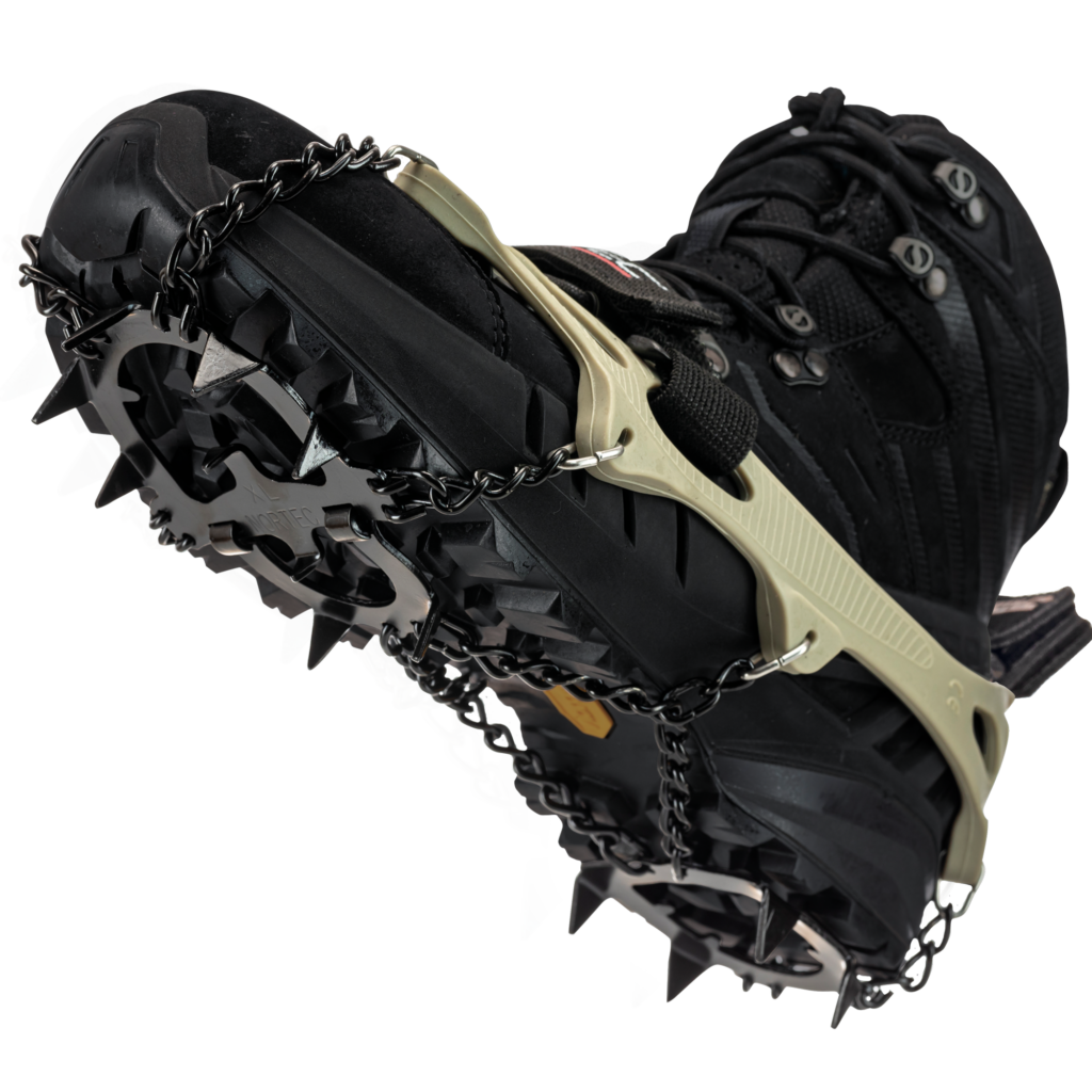 alpforest_2000-1024x1024.png