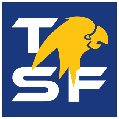 Logo team friuli